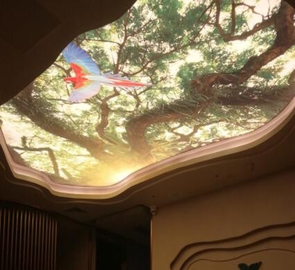 室内防火A级膜天花软膜灯箱 高清UV软膜喷绘卡布灯箱软膜天花吊顶图3