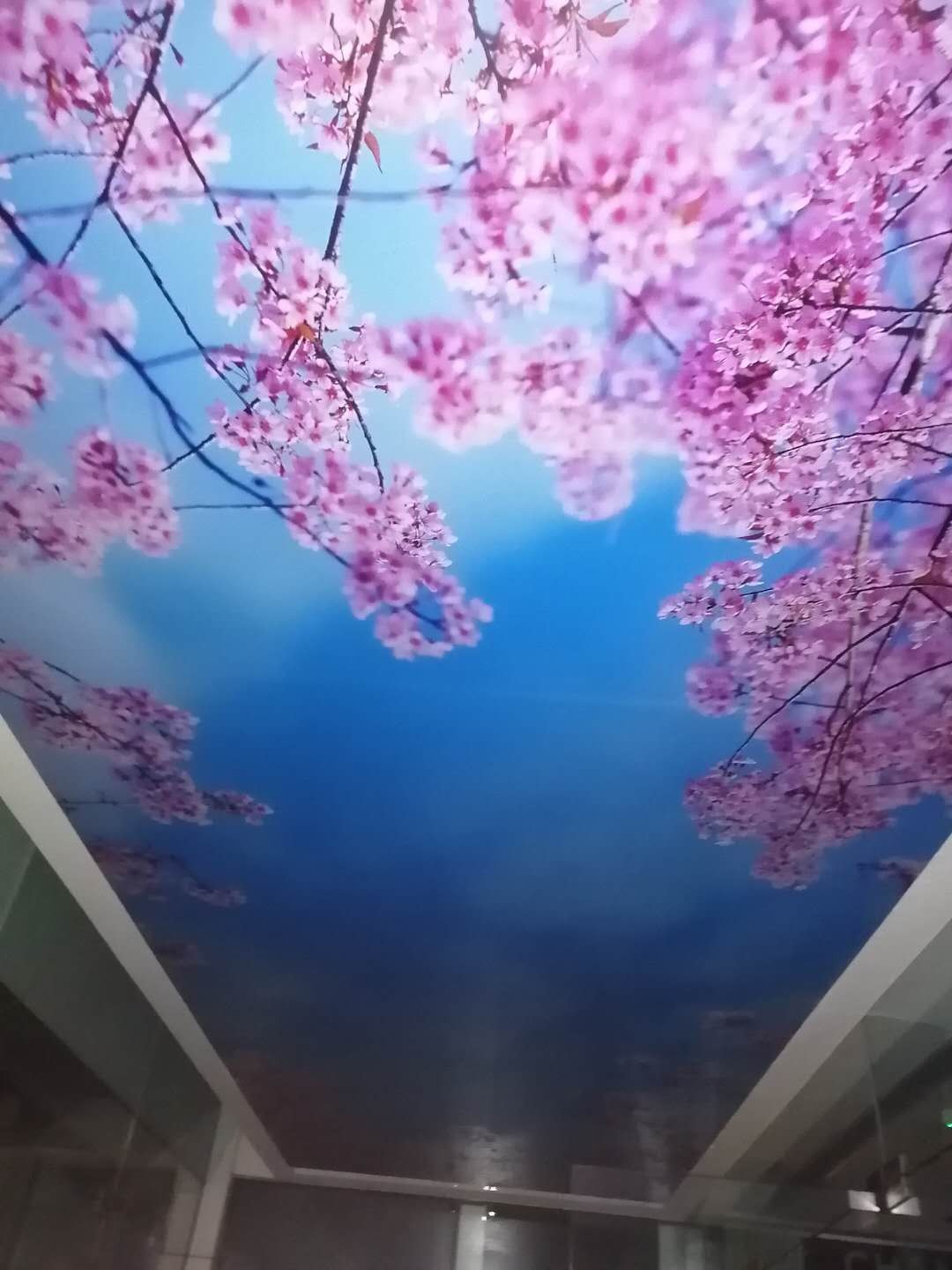 UV卷材画面图7