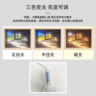 抖音LED灯光画小夜灯现代简约装饰画创意三色变光动漫家居发光画