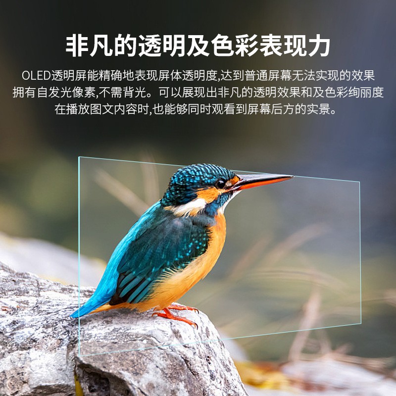 工厂直销超薄55英寸透明液晶显示屏 OLED透明屏拼接屏液晶显示屏图2