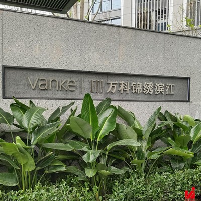 万科锦绣滨江精品字