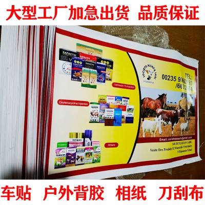 加工定制户外室内PP背胶纸车贴灯片刀刮布广告海报UV喷画喷绘写真