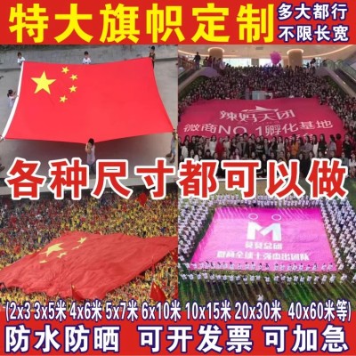 大旗子定做订做定制加工厂运动会表演跳舞旗子订做特大超大号国旗